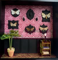 Image 1 of Moth gallery wall