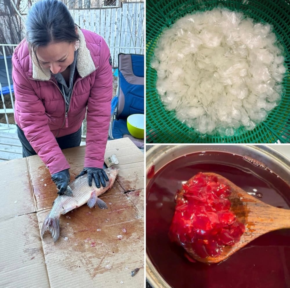 Image of Natural fish scales