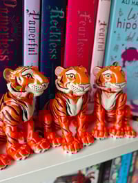 Image 2 of Tigres 3D