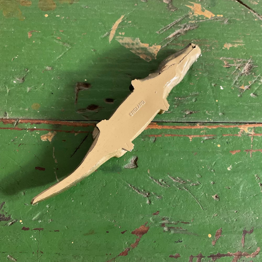 Image of Aligator