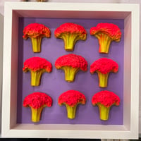 Read all about it 9 Broccolis