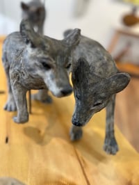 Image 4 of Kinship- Julie Kradel
