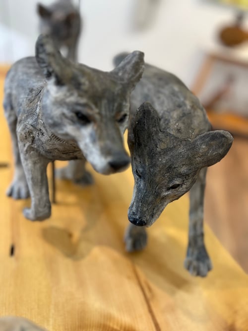 Image of Kinship- Julie Kradel