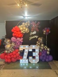Image 4 of Arch frame with balloon garland starting at $175