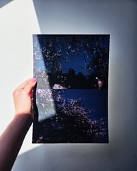 Image 3 of SPRING NIGHT