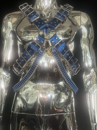 Image 3 of Electric Blue ‘X’ Harness 