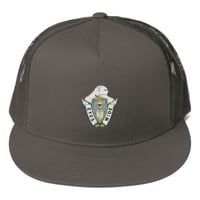 Eyes Wide Mesh Back Snapback