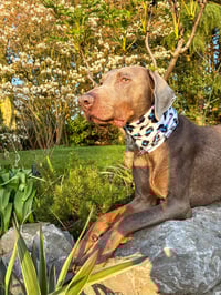 Image 1 of Spring -  SINGLE SNOOD