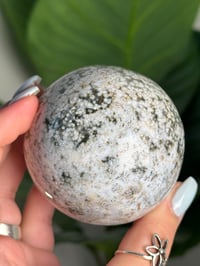 Image 2 of SEA JASPER SPHERE -MADAGASCAR- G