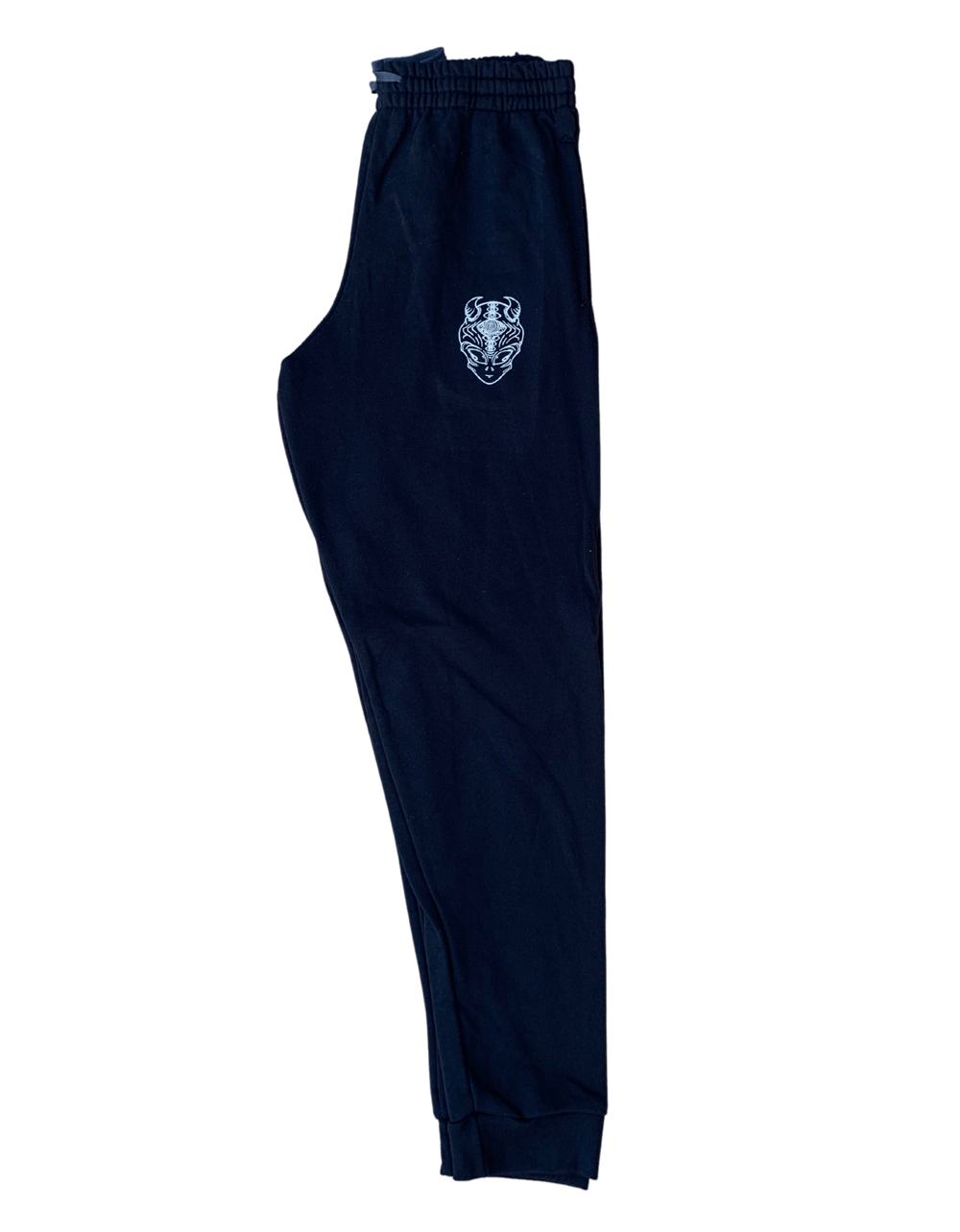 Image of Beyond Earth Joggers 