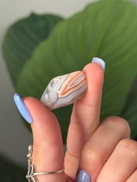 Image 2 of TUMBLED AGATE #53 -MALAWI-