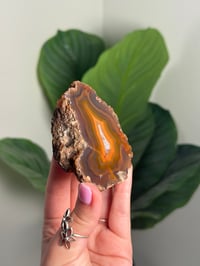 Image 2 of CONDOR AGATE -ARGENTINA- C