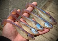 Image 6 of 5" G5 Hand Poured Swimbaits - "BLUEBACKS”
