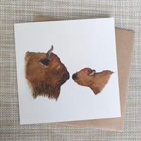Image 1 of Baby Bison