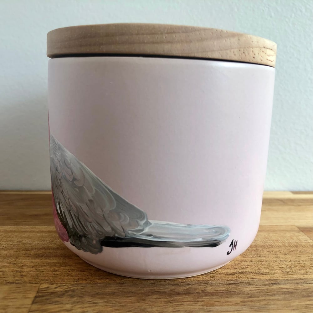 Pink Galah Canister
