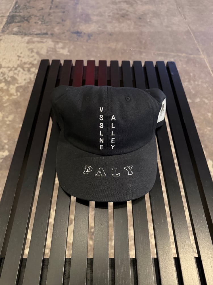 Image of Paly Hollywood VSSLNE ALLEY Cap