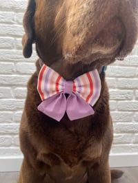 Image 7 of Cabana Beach Hut Stripe Bow Ties / Sailor Bows