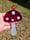 Image of Mushroom (fused)