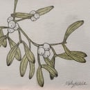 Image 2 of £50 originals - mistletoe watercolour