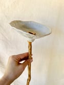 Bee bath small - 3