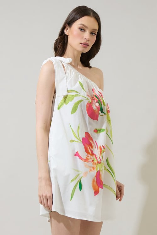 Image of Lilibel One Shoulder Dress