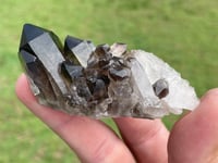 Image 1 of Smoky Quartz Points #1383