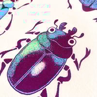 Image 5 of British Beetles - Large Screen Print