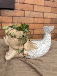 Image 4 of String of Turtles in Lounging Mermaid
