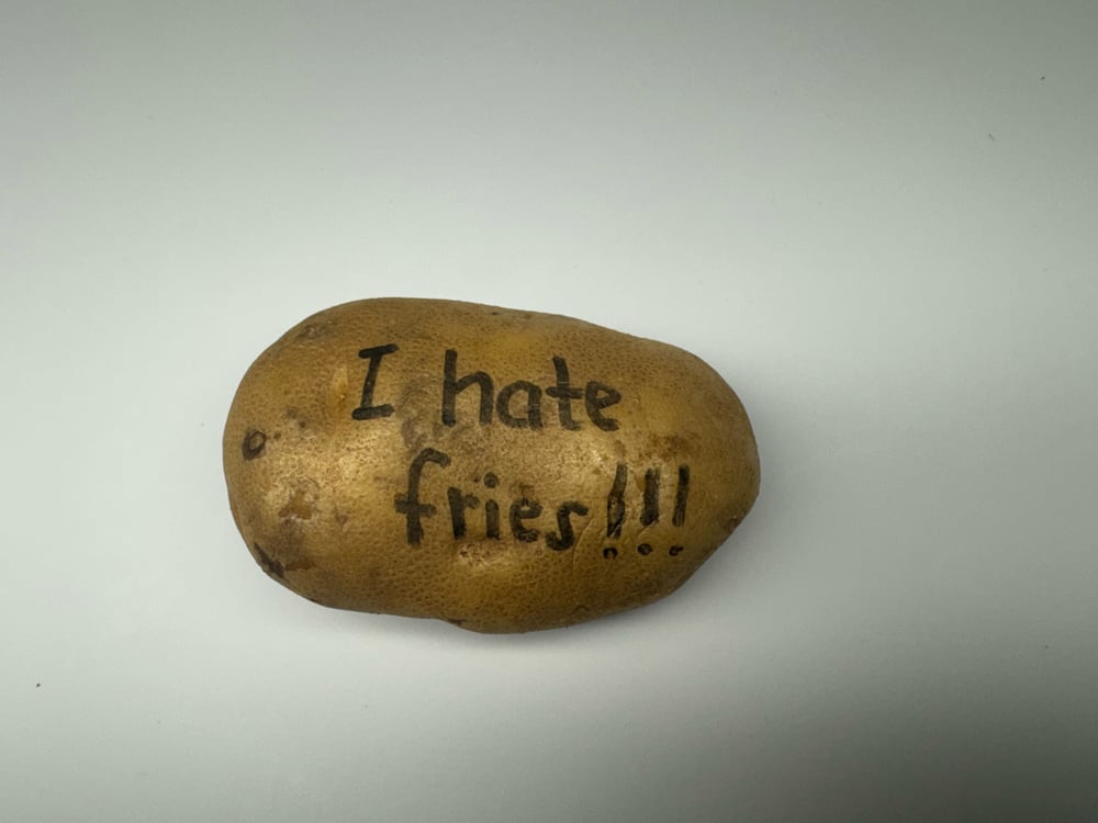 Image of I hate fries !!!