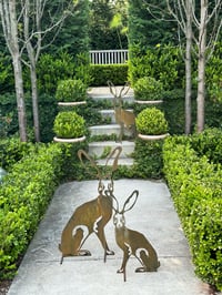 Image 1 of Harolds Hare