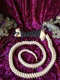 Image 1 of Bone Whip - Python Vertebrae 