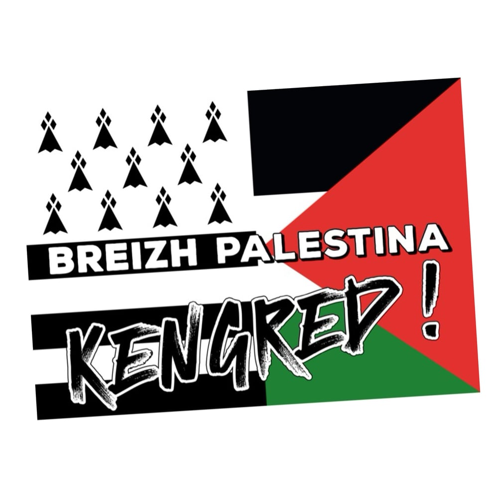 Image of Pegsunioù / Autocollants "Breizh – Palestina Kengred !"