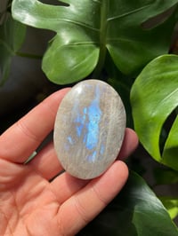 Image 2 of Moonstone Palm Crystal (4)