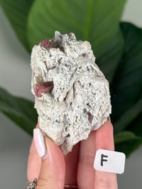 Image 6 of PINK TOURMALINE IN FELDSPAR CLUSTERS -PAKISTAN-