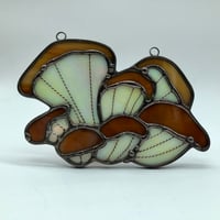 Image 2 of PRE-ORDER LISTING! Oyster mushroom suncatcher 