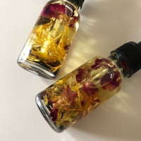 Image 3 of Herb Infused Hair & Body Oil