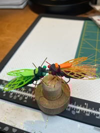 Image 1 of Carpy Cicada 