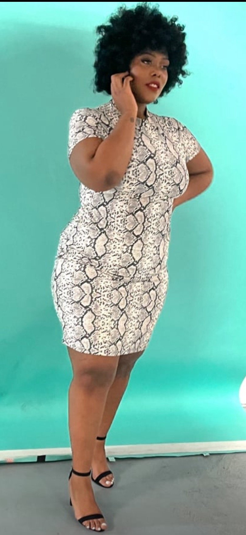 Image of Snakeskin Dress