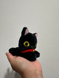 Image 2 of Chico Cat Laying Down Beanie