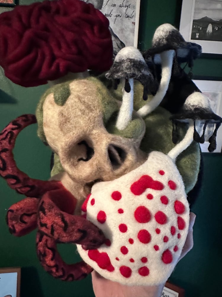 Image of Flora & Fauna