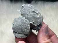 Image 10 of Peru Desert Rose UV Specimen #2416