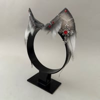 Image 2 of Silver Vampire Kitten