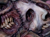 Image 6 of Custom commission iPhone 17 Pro Max Ed Gein phone cover