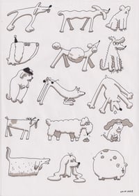 Sesión de perros 4