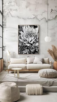 Image 4 of Chrysanthemum I