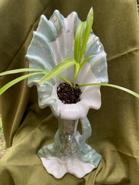 Image 1 of Spider Plant in Tall Ripped Vase