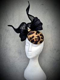 Image 3 of 'Bowie' in Leopard and black