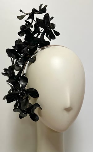 Image of Black orchids.