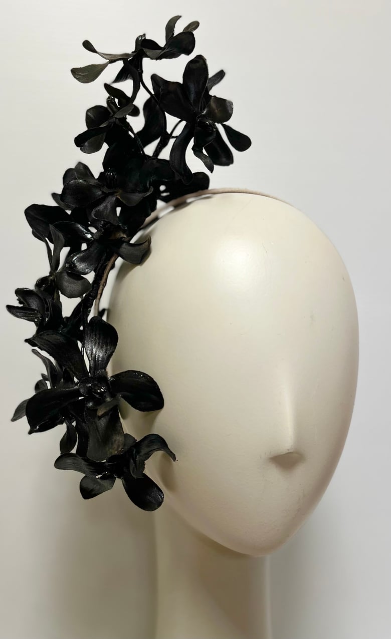 Image of Black orchids.