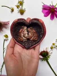 Image 1 of Toad-tally In Love Wall Sculpture